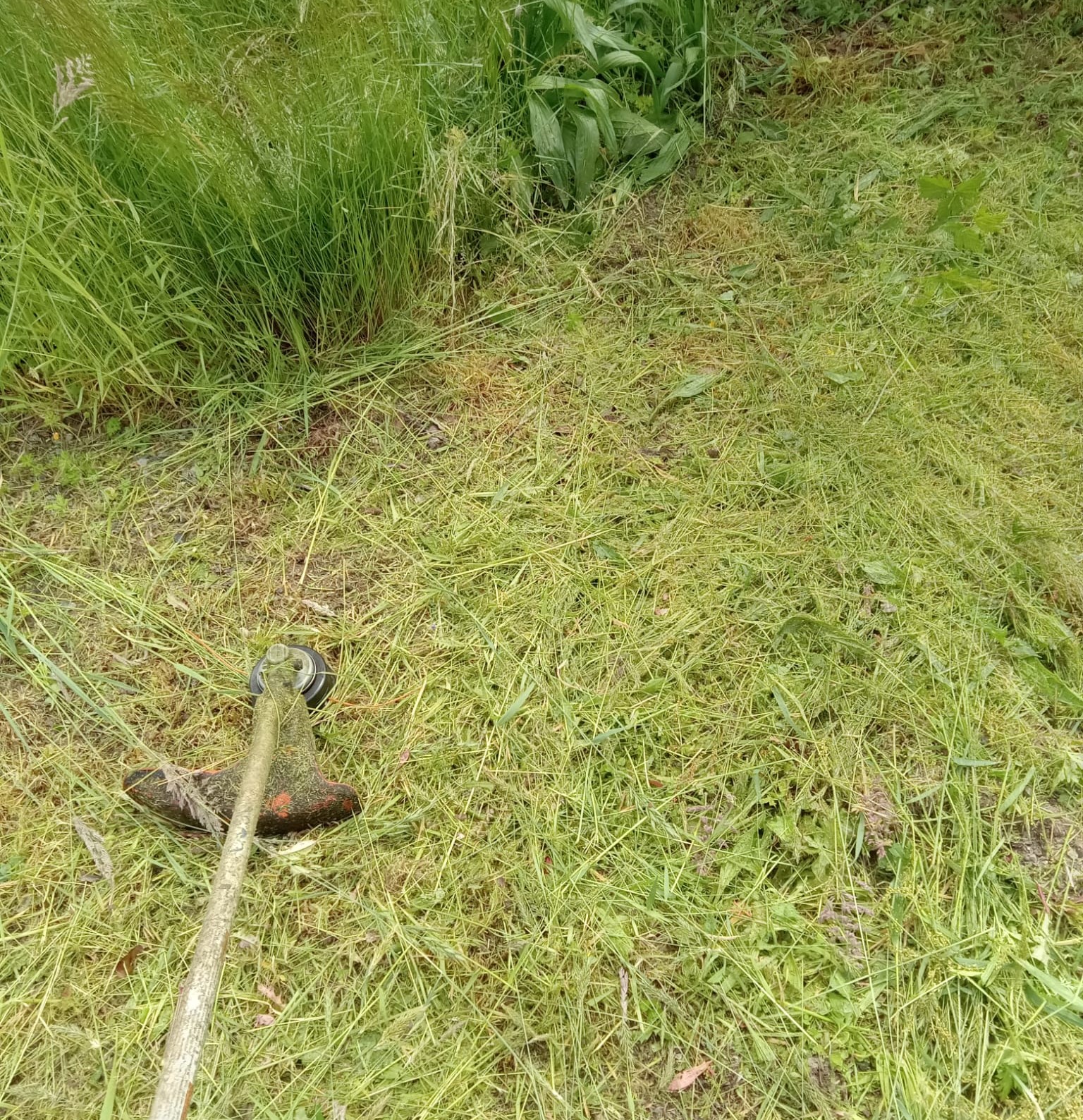 external-kitchen-renovation-yogi-aprelliyanto-detailed-outline-yogi-aprelliyanto